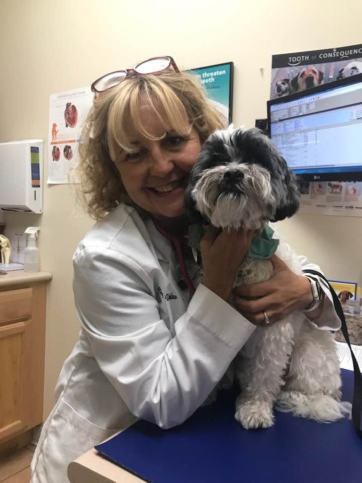 Dr. Cristina Valas, DVM